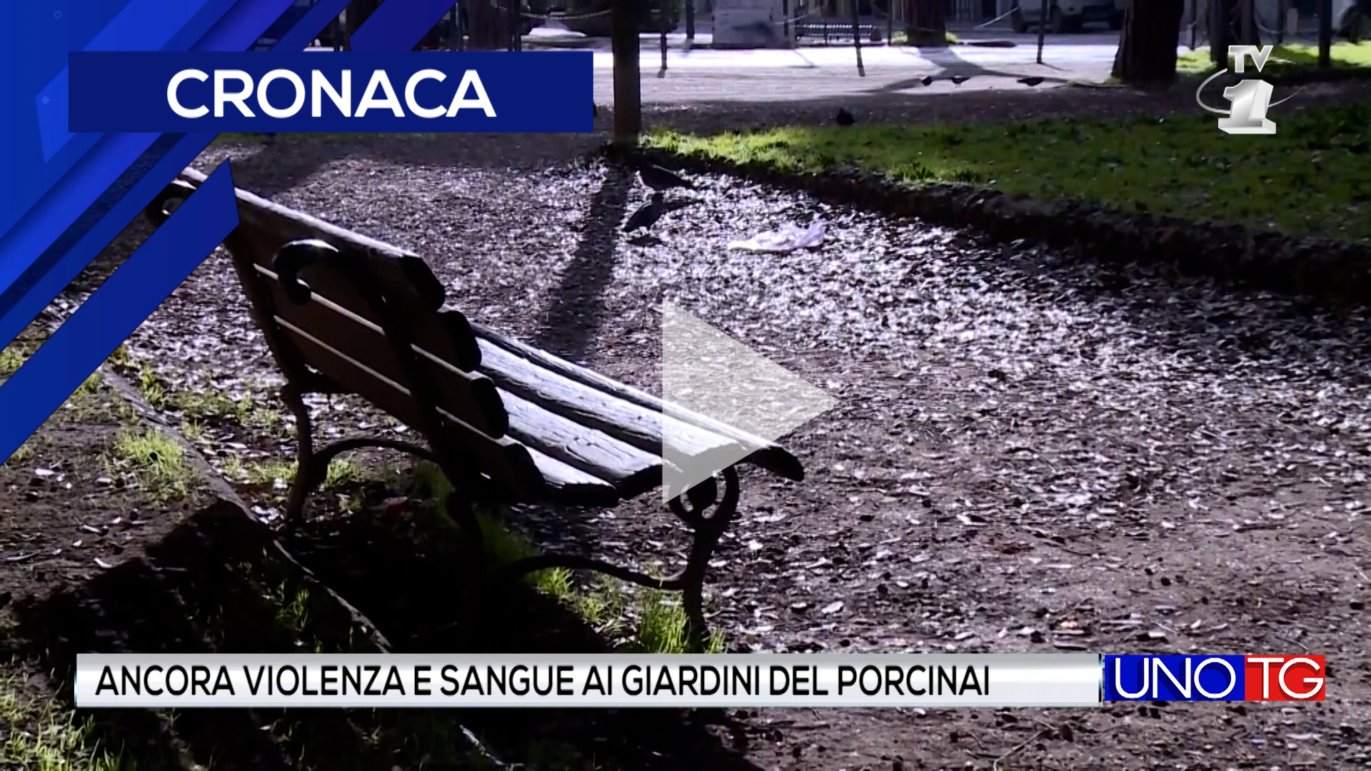 Ancora violenza e sangue ai giardini del Porcinai