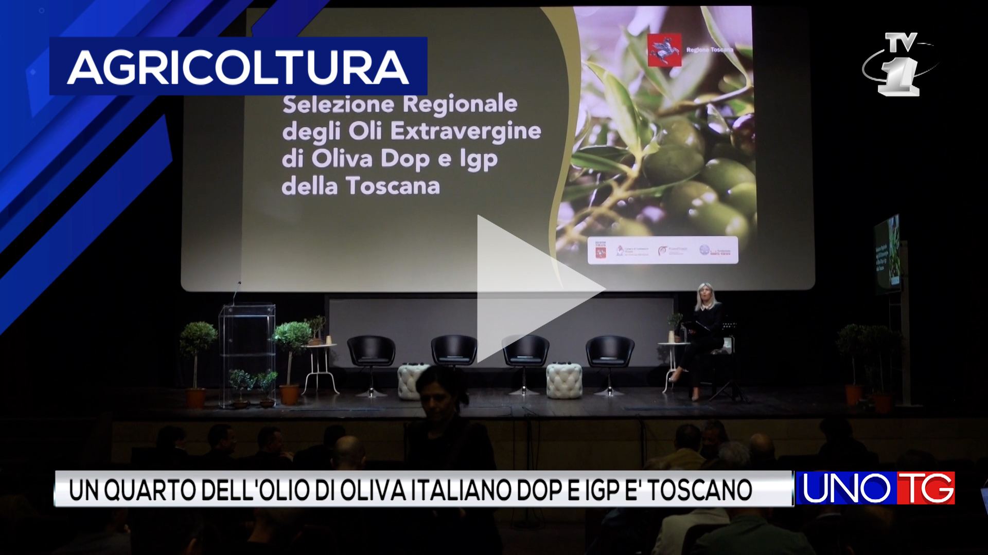Un quarto dell'olio d'oliva italiano DOP e IGP è toscano